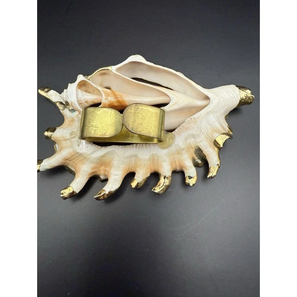 women belt buckle , Cronch. Ocean And Shell Theme. Accessory To Beautify A Belt.